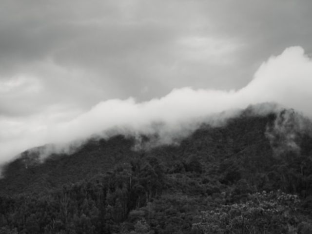 El matrimonio de Felipe y Sandra en Tenjo, Cundinamarca 15