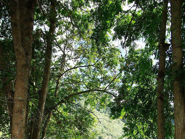 El matrimonio de Fredy y Claudia en Ibagué, Tolima 14