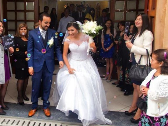 El matrimonio de Aljandro  y Daniela  en Bogotá, Bogotá DC 19