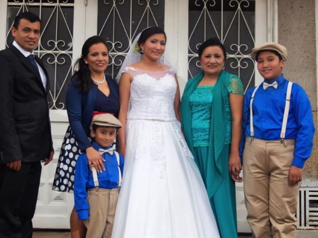 El matrimonio de Aljandro  y Daniela  en Bogotá, Bogotá DC 31