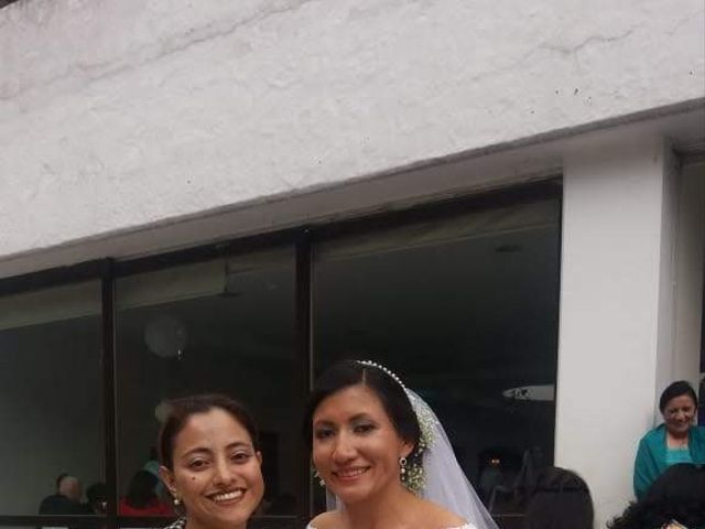 El matrimonio de Aljandro  y Daniela  en Bogotá, Bogotá DC 41
