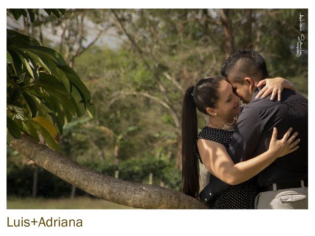 El matrimonio de Luis y Adriana  en Timaná, Huila 10