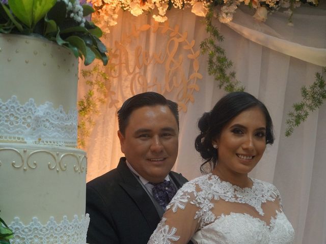 El matrimonio de Orly  y Alexandra  en Cali, Valle del Cauca 33