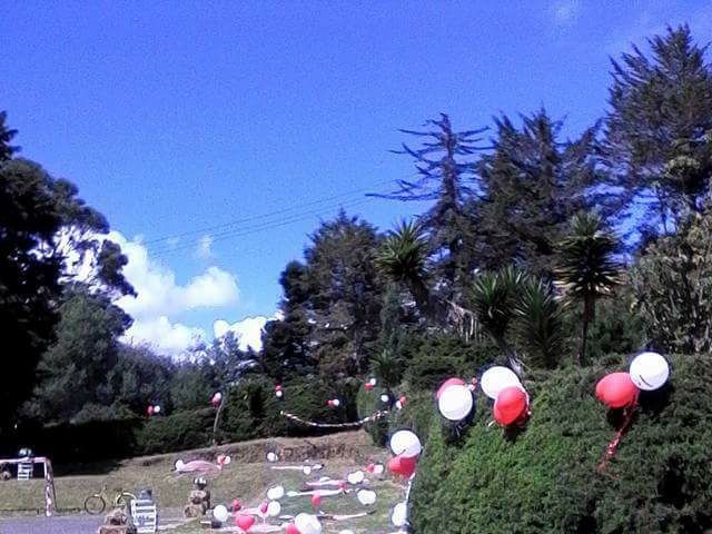 El matrimonio de Sandra y Marco en Junín, Cundinamarca 33