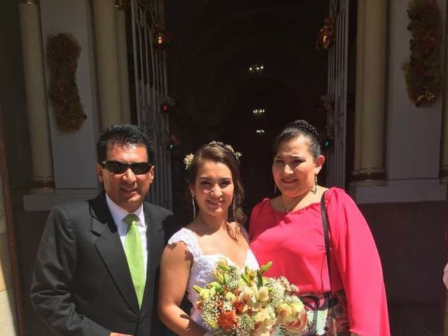 El matrimonio de Sandra y Marco en Junín, Cundinamarca 51