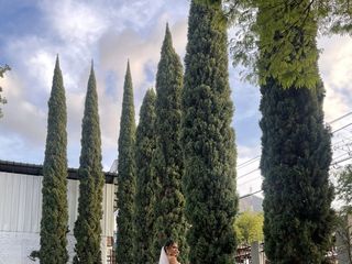 El matrimonio de Dayanis y Julián 2