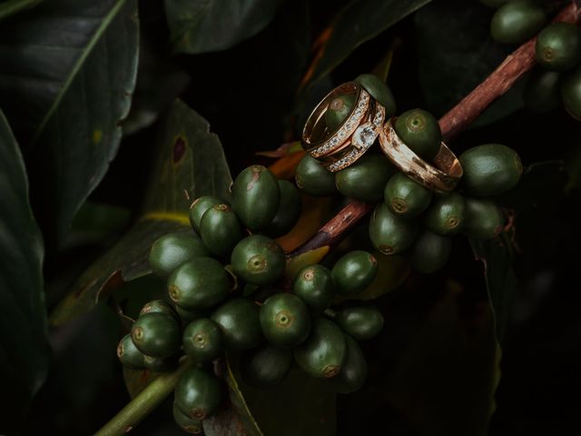 El matrimonio de Víctor y Natalia en Armenia, Quindío 11