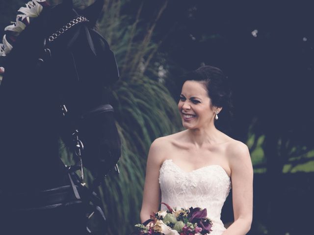 El matrimonio de David y Carolina en Subachoque, Cundinamarca 8