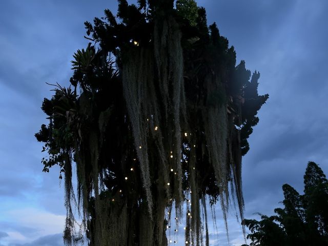 El matrimonio de Daniela y Daniel en Manizales, Caldas 47