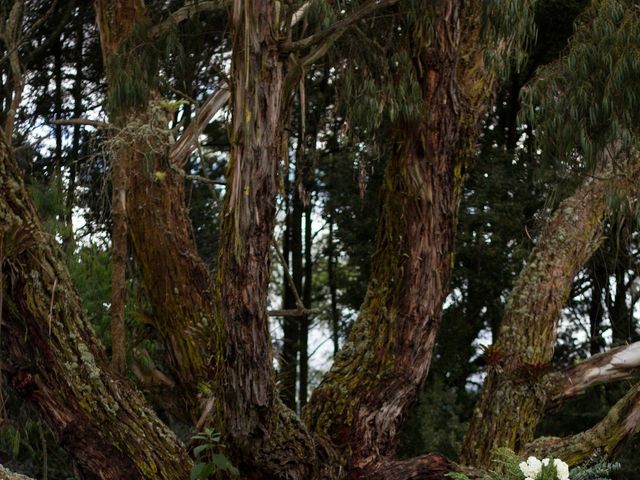 El matrimonio de Pablo Harker y Vera Winograd en Guasca, Cundinamarca 37