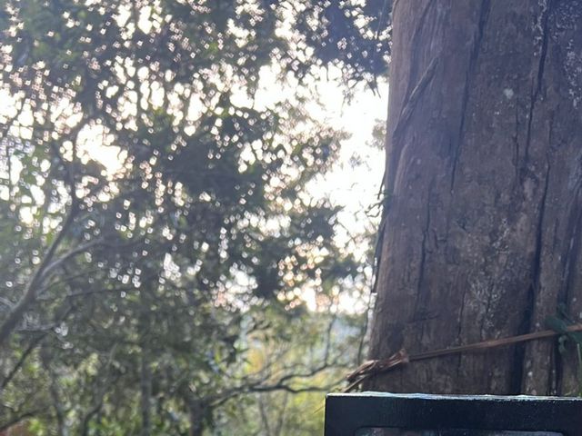 El matrimonio de Lina y Natalia en Medellín, Antioquia 6