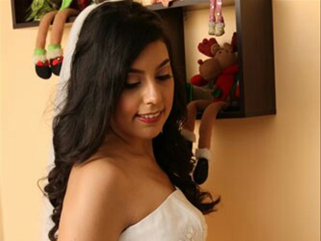 El matrimonio de Juan David y Alexandra en Cali, Valle del Cauca 3