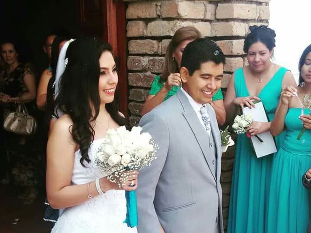 El matrimonio de Juan David y Alexandra en Cali, Valle del Cauca 15