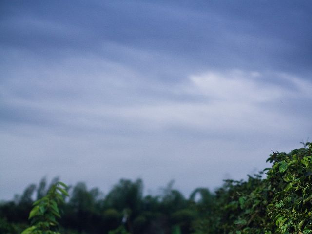 El matrimonio de Heved y Dania en Caicedonia, Valle del Cauca 28