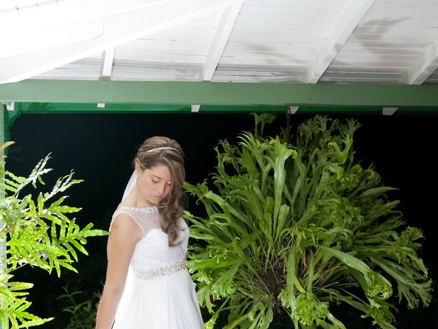 El matrimonio de Nestor y Diana en La Pintada, Antioquia 15