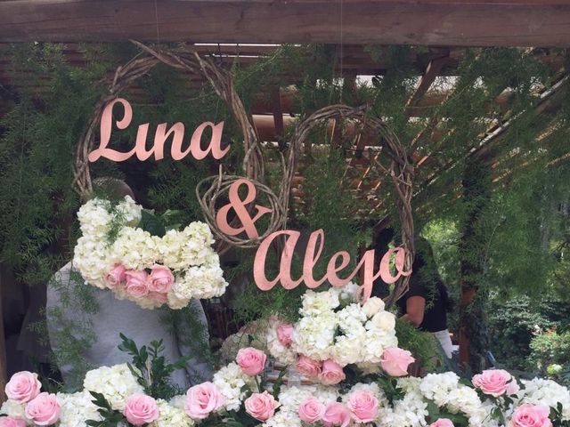 El matrimonio de Alejandro y Lina en Medellín, Antioquia 3