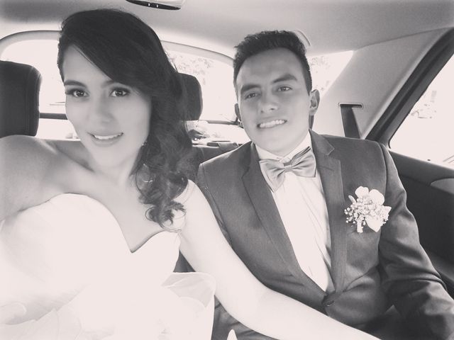 El matrimonio de Camilo y Paola en Bogotá, Bogotá DC 6