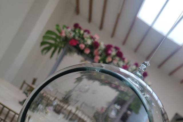Harris Eventos 5