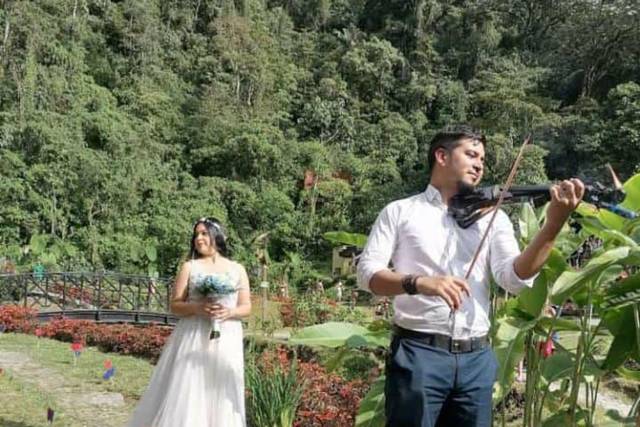 Musca Soluciones Para Eventos 1
