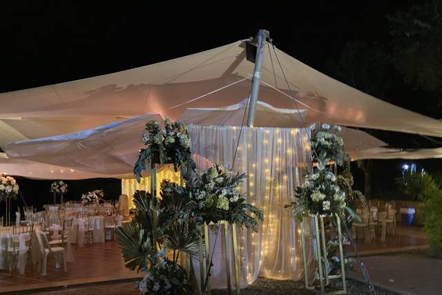 Fiestísima 5