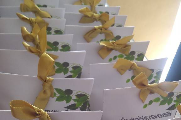 Tarjetas Somi 1