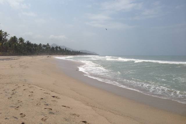 Playa Mandala 2