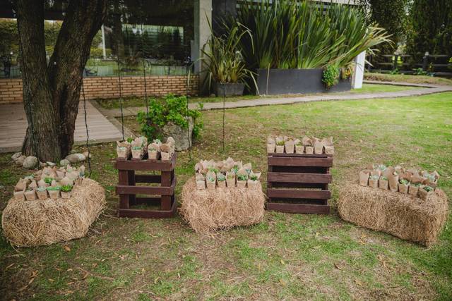 Eventos y Bodas RM 5