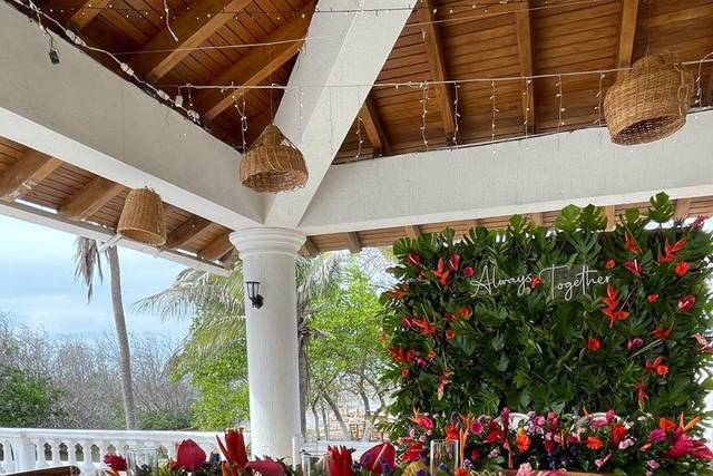 Orquídea Real Rental 3