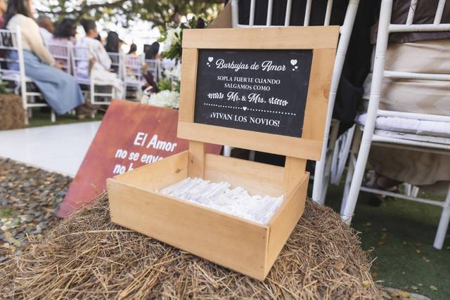 Liz Horta Novias y Bodas 1