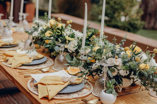 IMO Bodas y Eventos - Anna Delmys WP 2
