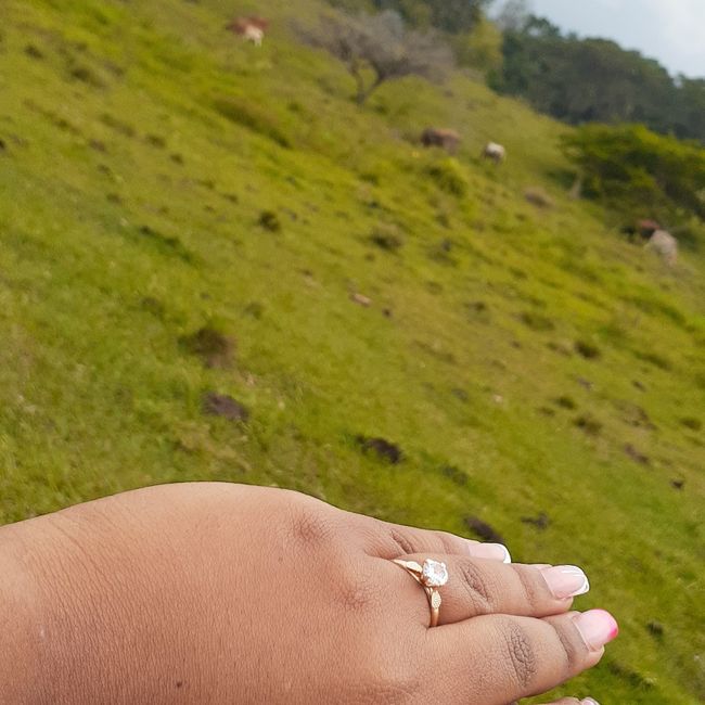 Cuéntanos... ¿Cómo fue tu pedida de mano? 13