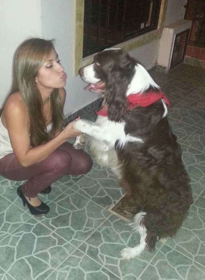 Vota tu foto favorita: Novios con sus mascotas - 1