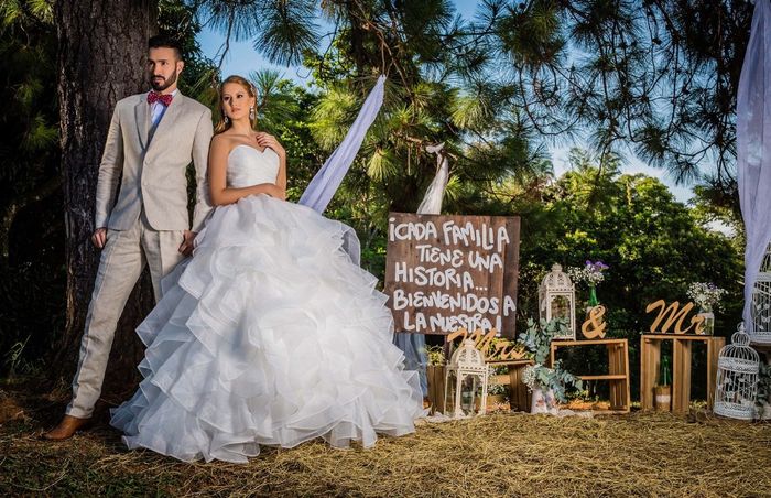 El desafío del vestido: ¿Princesa o sirena? 1