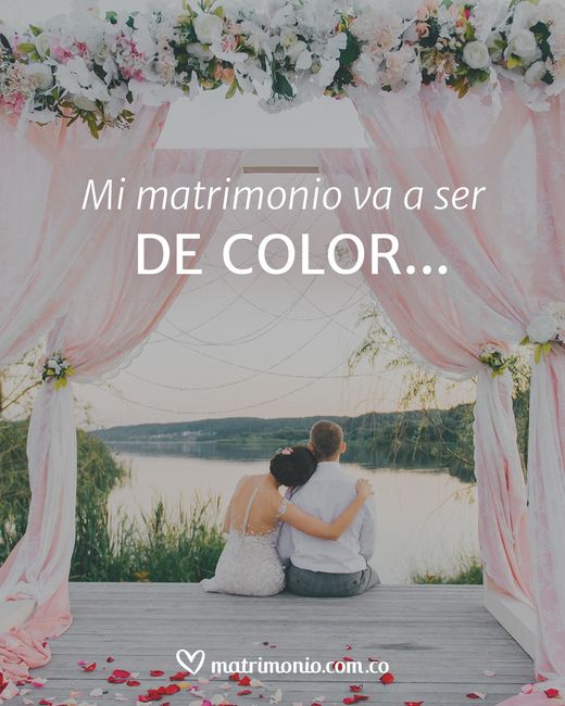 Mi matrimonio va a ser de color... 1