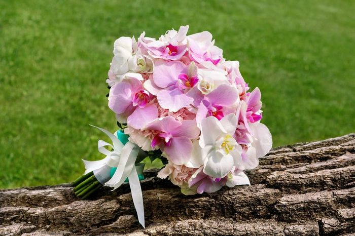 5 flores colombianas para tu ramo de novia: ¿Cuál eliges? 3