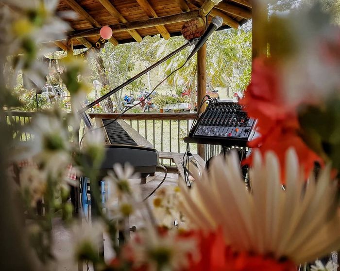 ¿Música en vivo para la ceremonia o para la fiesta? 1