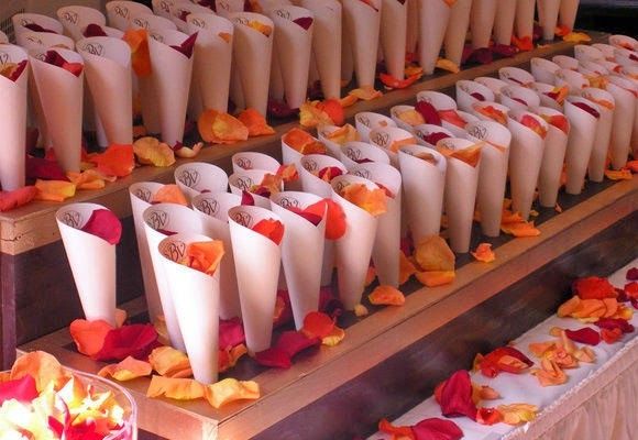 Conos para petalos
