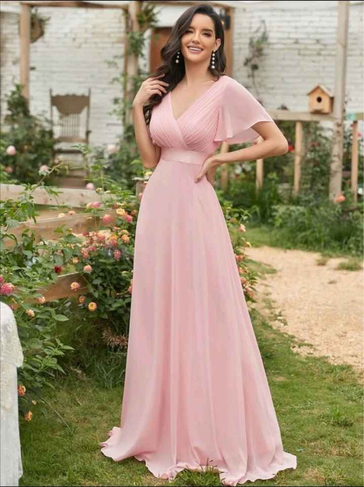 El vestido de mis damas - 1