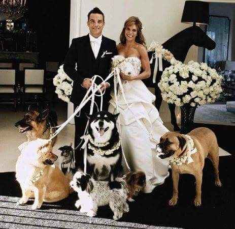 Peluditos/mascotas en la boda - 1