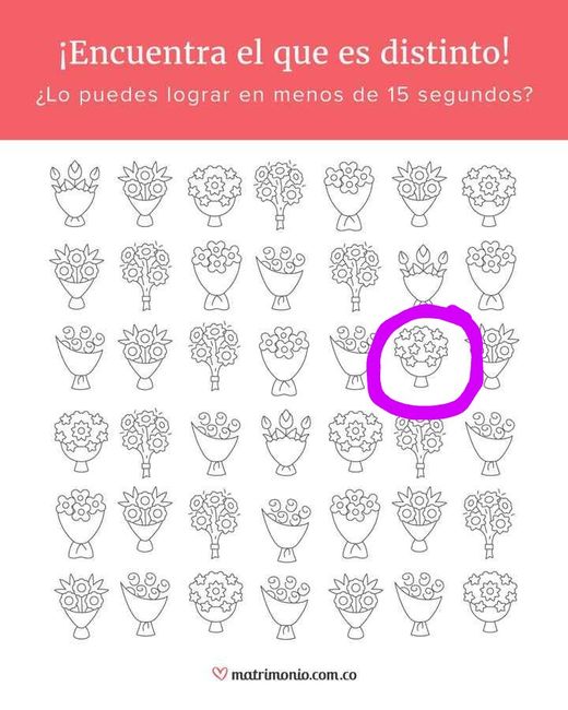 ¡Encuentra el ramo distinto y llévate un regalito para tu matrimonio! 🎁 6