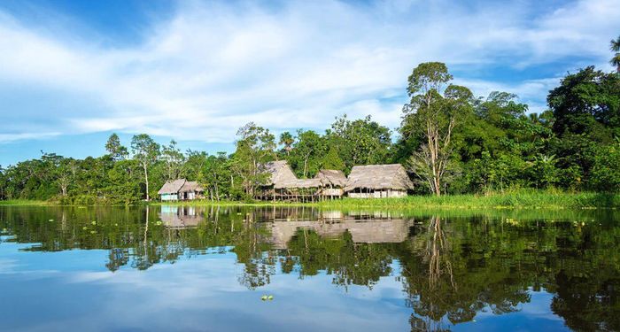 Luna de miel en el Amazonas 4