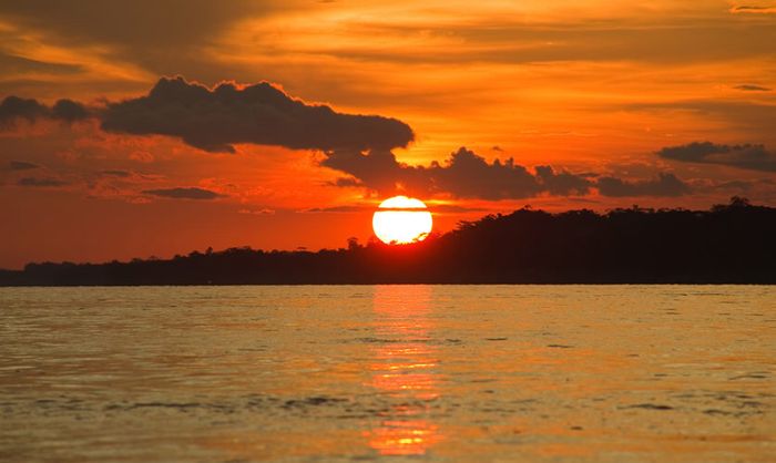 Luna de miel en el Amazonas 14