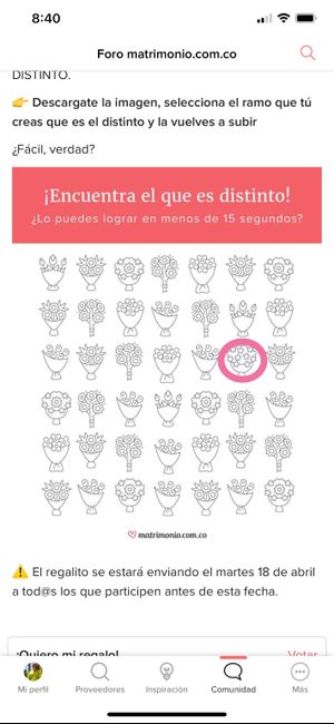 ¡Encuentra el ramo distinto y llévate un regalito para tu matrimonio! 🎁 4