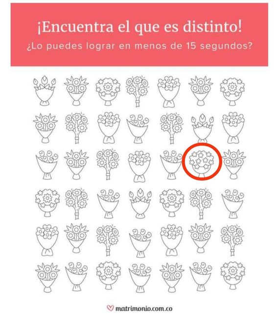 ¡Encuentra el ramo distinto y llévate un regalito para tu matrimonio! 🎁 10