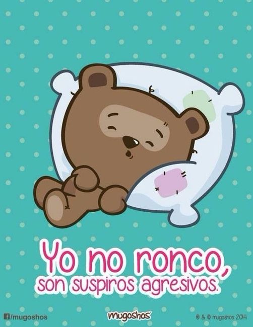 ¿Alguno de los dos ronca mientras duerme?