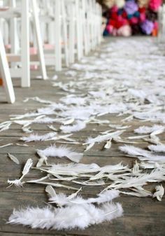 Matrimonio con plumas