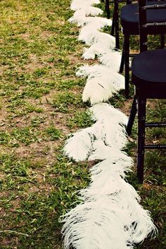 Matrimonio con plumas