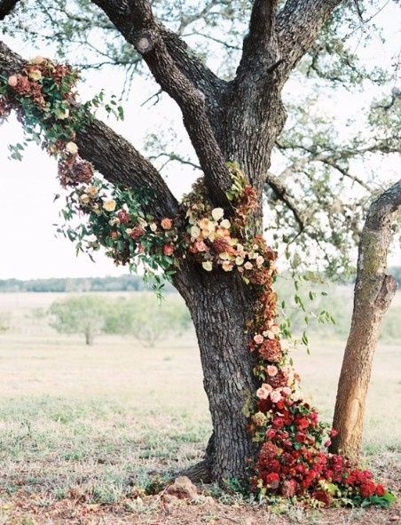 Ideas para decorar los árboles del lugar