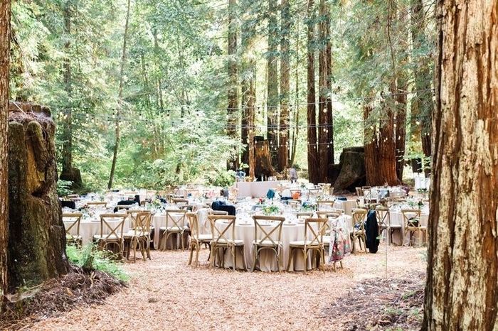 Una boda encantada en el bosque ¿lo harías?