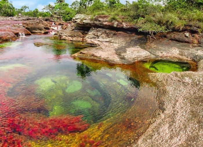 Caño Cristal